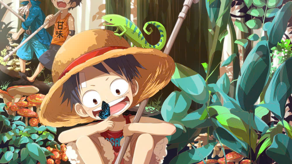 Hình One Piece cực đẹp cho máy tính 10