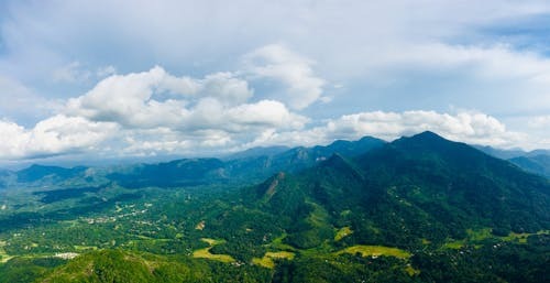 Hình nền máy tính cho không gian tươi mới